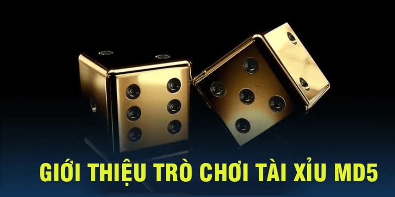 Tài Xỉu MD5 quy định tỷ lệ trả thưởng hấp dẫn